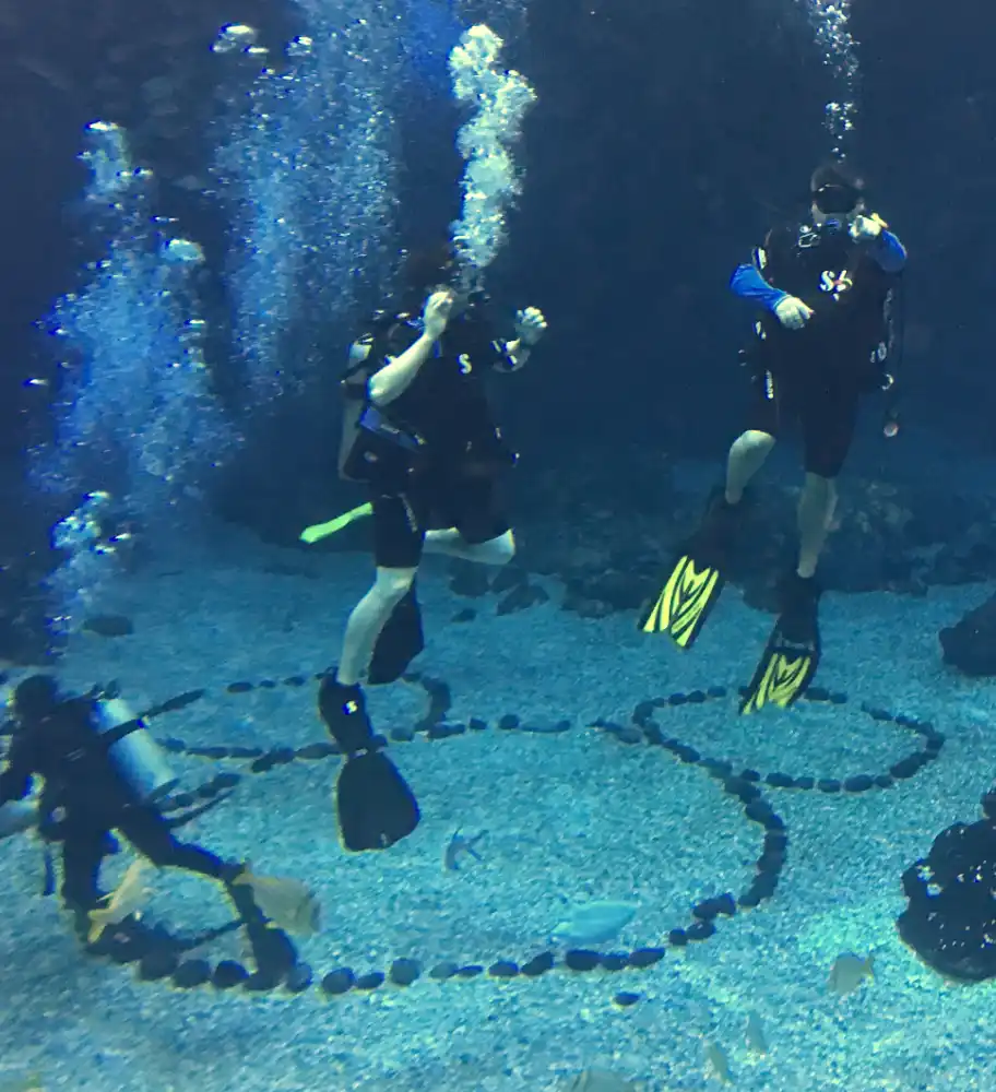 Underwater travel experience